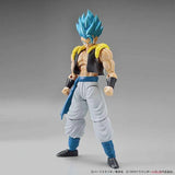 Bandai Dragon Ball Model Kit FRS Vegeta Goku Gohan Broly Gogeta18 Cell Action Figure Building Kit Anime Figures Toys For Men