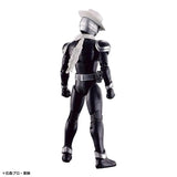 Bandai Kamen Rider Model Kit FRS Zero One Rising Hopper Kiva Gaim Oran