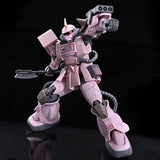 Bandai Gundam Model Kit HG Zaku Desert Pink Panther Forces Action Figu
