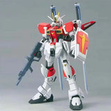 Bandai Gundam Model Kit HG Blaze Zaku Sword Impulse Saviour Legend Gun